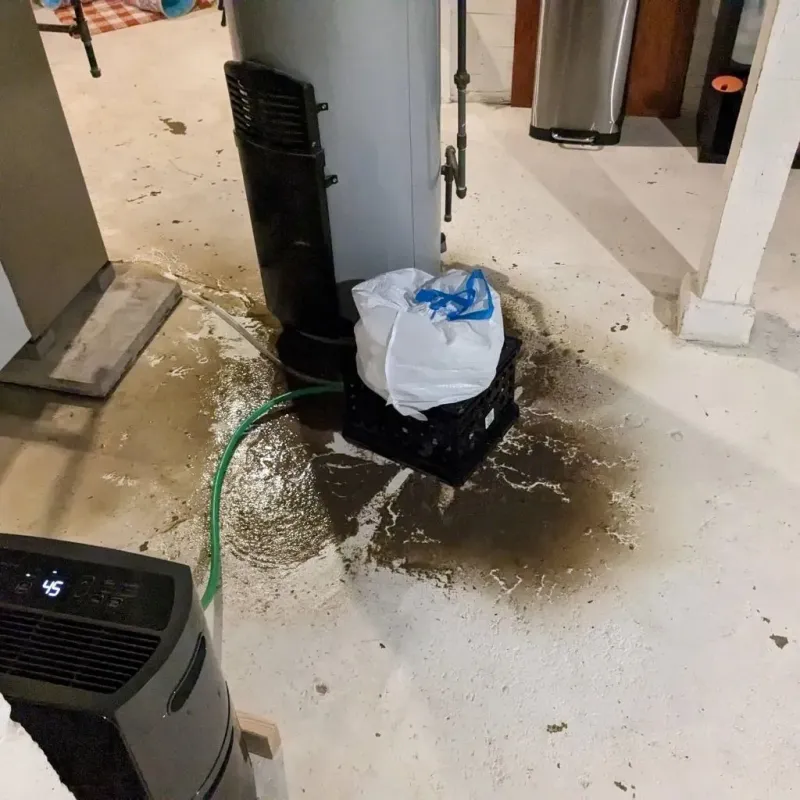 Sewage Backup Cleanup Service in Burney, CA